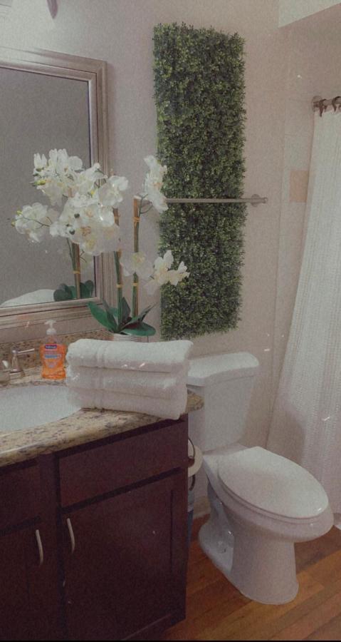 Spacious Galleria Cottage - Self Check In & Free Parking, 4 Beds 2 Bathrooms هيوستن المظهر الخارجي الصورة